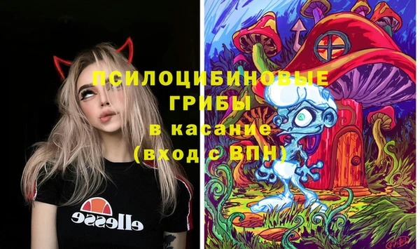 прущая мука Протвино