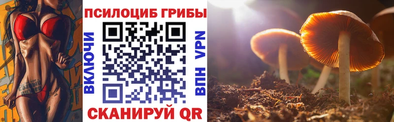 Псилоцибиновые грибы ЛСД  Сусуман 